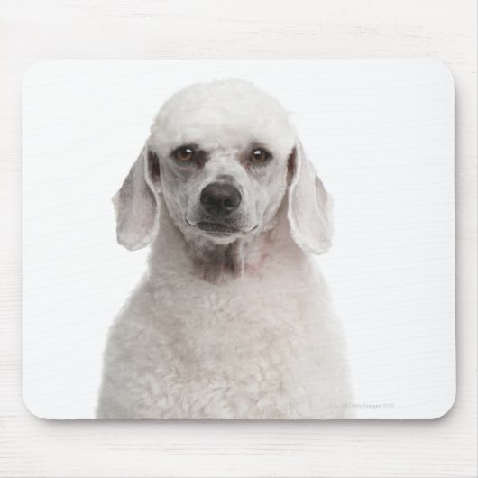 Poodle (1 Jahr) Mousepad (Vorne)