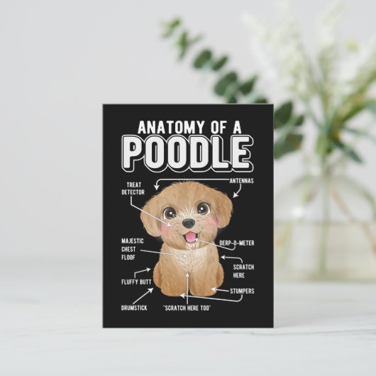 Poodle Anatomy Funny Dog Postkarte (Stehend Vorderseite)