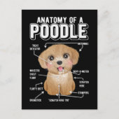 Poodle Anatomy Funny Dog Postkarte (Vorderseite)