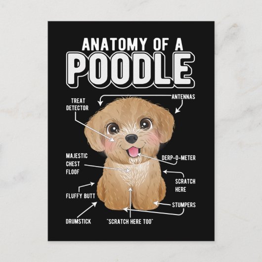 Poodle Anatomy Funny Dog Postkarte (Vorderseite)