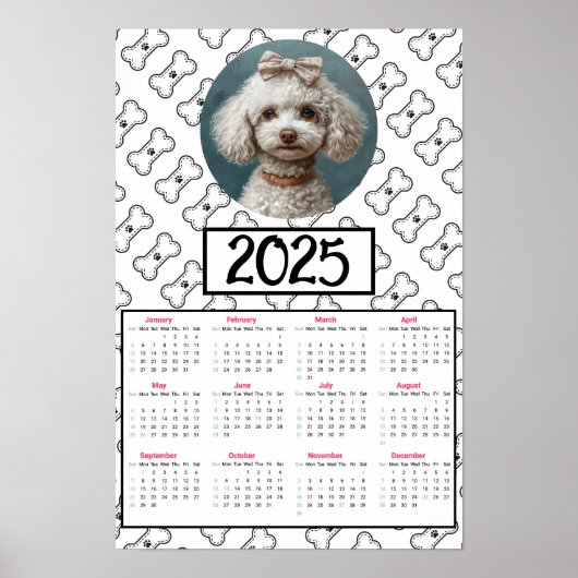 Poodle and Bones - Kalender 2025 Poster (Vorne)