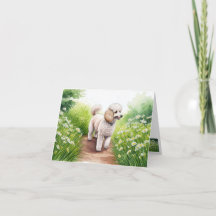 Poodle and Garden Path Note Card
