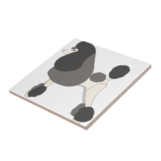 Poodle anzeigen fliese (Seite)