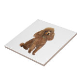 Poodle - Apricot Fliese (Seite)