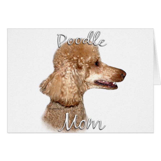 Poodle (Aprikose) Mama 2 (Vorderseite (Horizontal))
