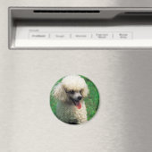 Poodle auf Gras Magnet (In Situ (Geschirrspüler))