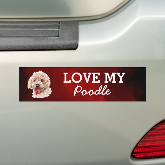 Poodle Autoaufkleber (Auf Auto)