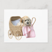 Poodle Baby Buggy Postkarte (Vorderseite)
