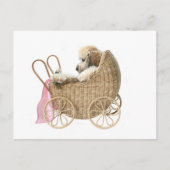 Poodle Baby Buggy Postkarte (Vorderseite)