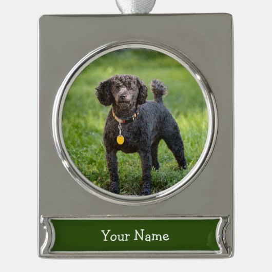 Poodle Banner-Ornament Silber (Vorderseite)