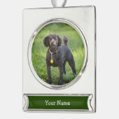 Poodle Banner-Ornament Silber (Links)