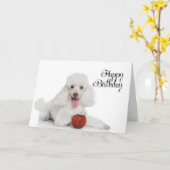 Poodle Birthday Card Karte (Gelbe Blume)