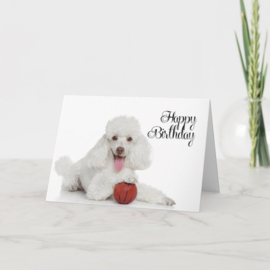 Poodle Birthday Card Karte (Vorderseite)