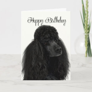 Poodle Birthday Card Karte