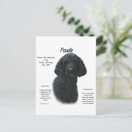 Poodle (blk) History Design Postkarte (Stehend Vorderseite)