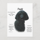 Poodle (blk) History Design Postkarte (Vorderseite)