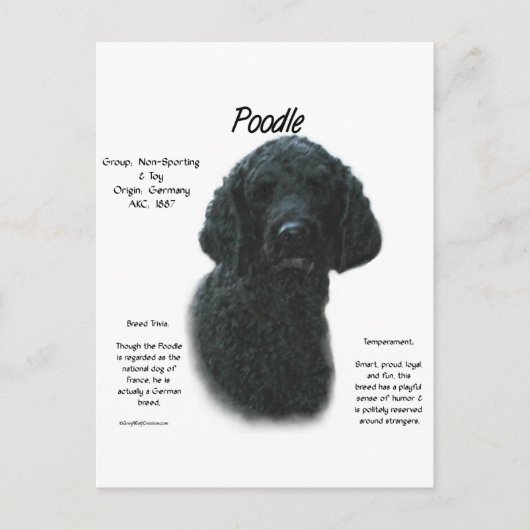 Poodle (blk) History Design Postkarte (Vorderseite)