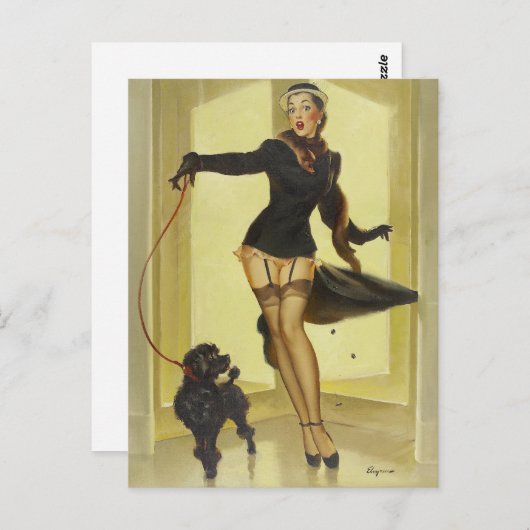 Poodle Button Up Postkarte (Vorne/Hinten)