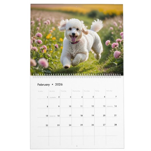 POODLE CALENDAR 2026 KALENDER (Feb 2026)