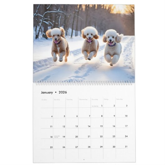 POODLE CALENDAR 2026 KALENDER (Jan 2026)