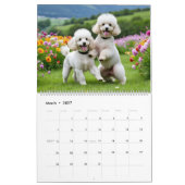 POODLE CALENDAR 2026 KALENDER (Mär 2027)
