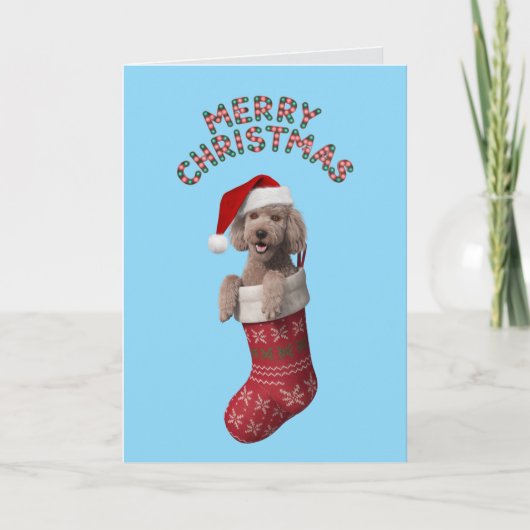 Poodle Christmas Card Karte (Vorderseite)