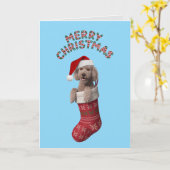 Poodle Christmas Card Karte (Gelbe Blume)