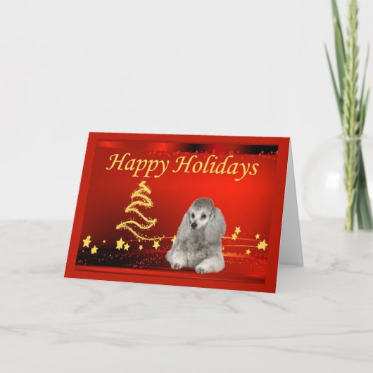 Poodle Christmas Card Stars Feiertagskarte (Vorderseite)