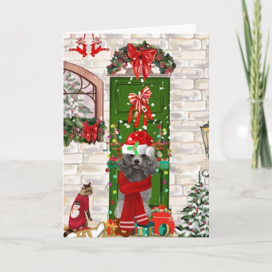 Poodle Christmas Karte (Vorderseite)