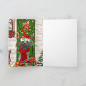 Poodle Christmas Karte (Innenseite)