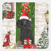 Poodle Christmas Quadratischer Aufkleber (Vorderseite)