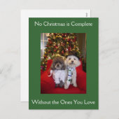 Poodle Christmas wünscht Feiertagspostkarte (Vorne/Hinten)