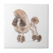 Poodle — Coat anzeigen Fliese (Vorderseite)