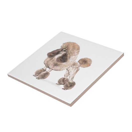 Poodle — Coat anzeigen Fliese (Seite)