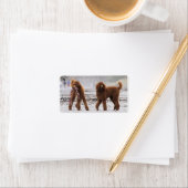 Poodle Day 2010 #10 Adressaufkleber (Insitu)