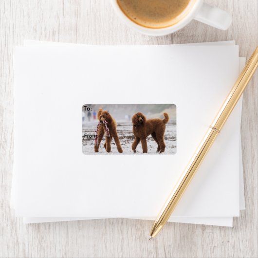 Poodle Day 2010 #10 Adressaufkleber (Insitu)