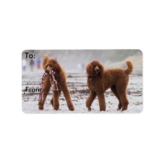 Poodle Day 2010 #10 Adressaufkleber (Vorne)