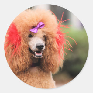 Poodle Day 2010 #1 Runder Aufkleber