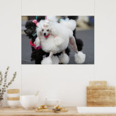 Poodle Day 2010 #6 Poster (Küche)