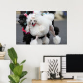 Poodle Day 2010 #6 Poster (Heimbüro)