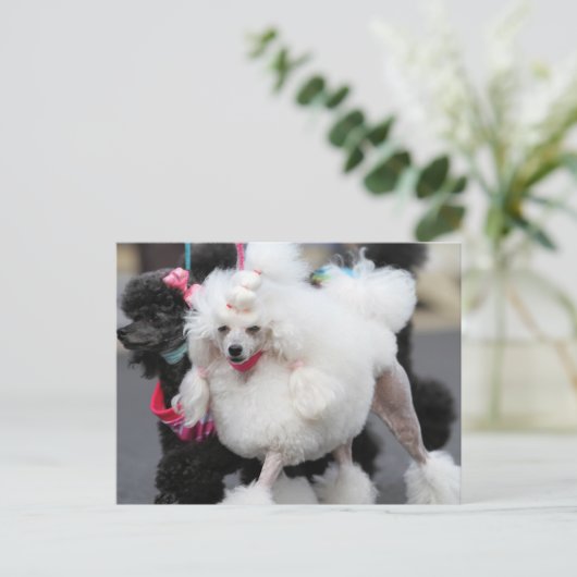 Poodle Day 2010 #6 Postkarte (Stehend Vorderseite)
