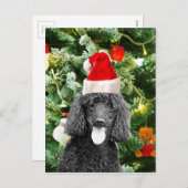 Poodle Dog Christmas Tree Snowman Red Santa Hat Feiertagspostkarte (Vorne/Hinten)