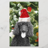 Poodle Dog Christmas Tree Snowman Red Weihnachtsma Briefpapier (Vorderseite)