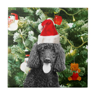 Poodle Dog Christmas Tree Snowman Red Weihnachtsma Fliese