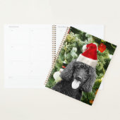 Poodle Dog Christmas Tree Snowman Red Weihnachtsma Planer (Anzeige)