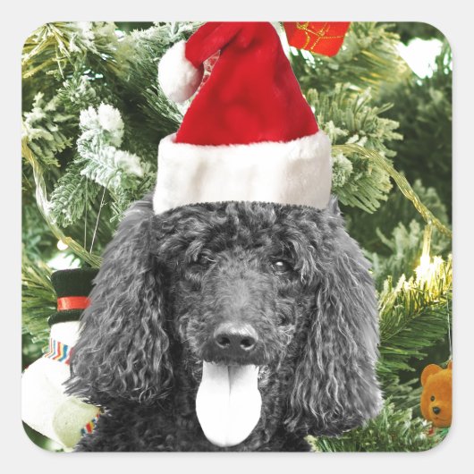 Poodle Dog Christmas Tree Snowman Red Weihnachtsma Quadratischer Aufkleber (Vorderseite)