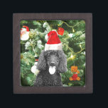 Poodle Dog Christmas Tree Snowman Red Weihnachtsma Schmuckkiste<br><div class="desc">Niedlicher Poodle Hund mit roter Weihnachtsmannmütze mit Weihnachtsbaumschneedekor im Hintergrund.</div>