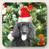 Poodle Dog Christmas Tree Snowman Red Weihnachtsma Untersetzer (Vorderseite)