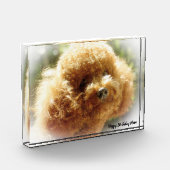 Poodle Dog Fotoblock (Links)