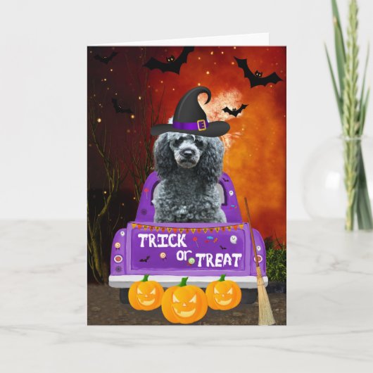 Poodle Dog im Halloween-Lkw Karte (Vorderseite)